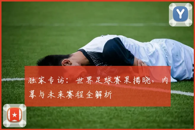 独家专访:世界足球赛果揭晓,内幕与未来赛程全解析