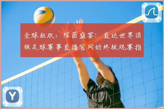 全球狂欢，绿茵盛宴：直达世界顶级足球赛事直播官网的终极观赛指南